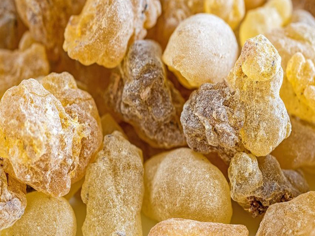 Fragnance Organic Products